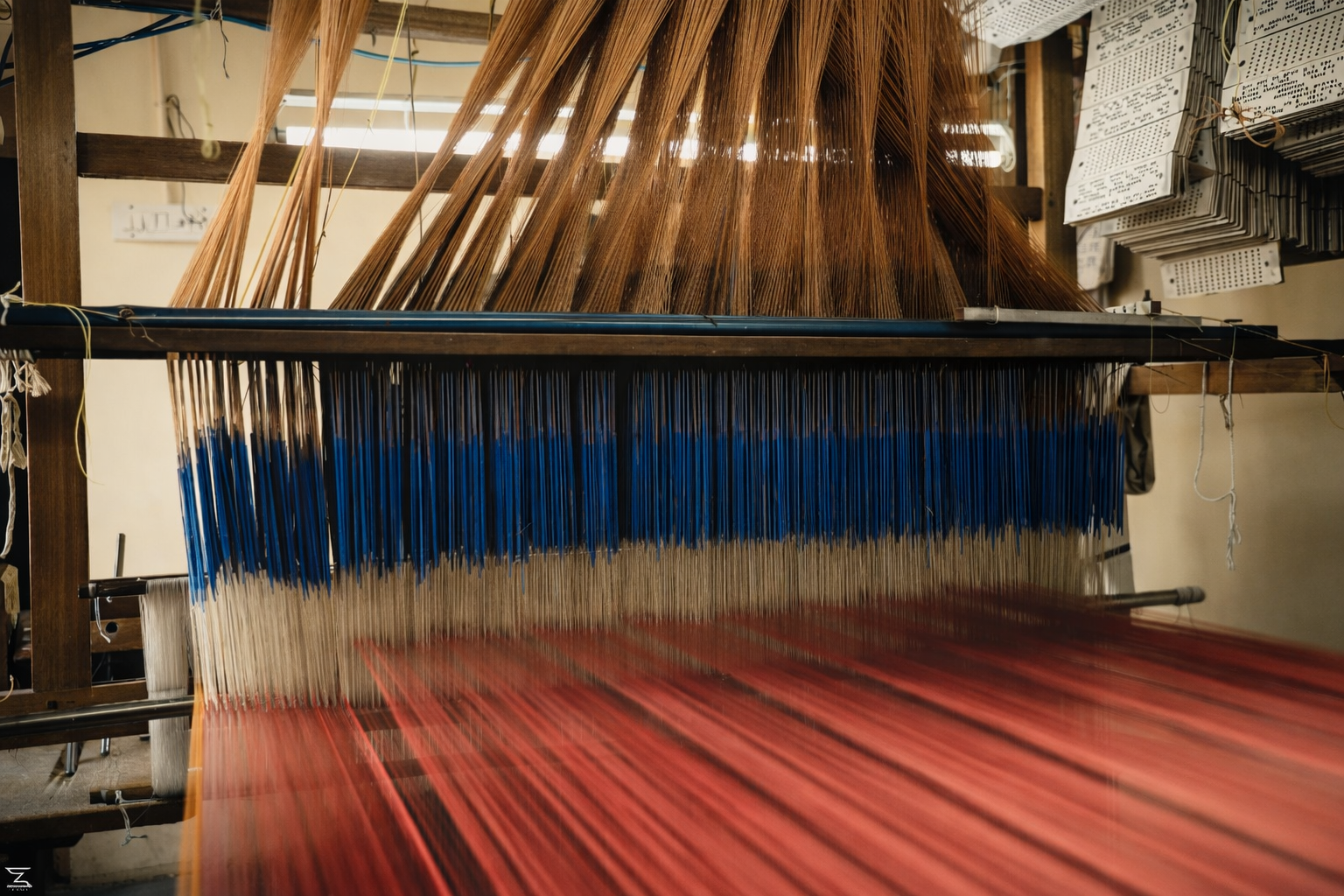 Kanjivaram silk saree closeup